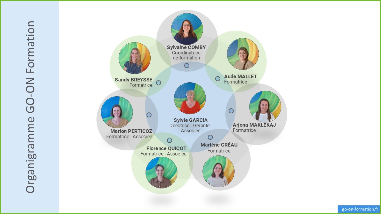 organigramme de l'équipe